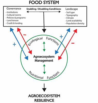 Frontiers | Ecological And Nutritional Functions Of Agroecosystems As ...